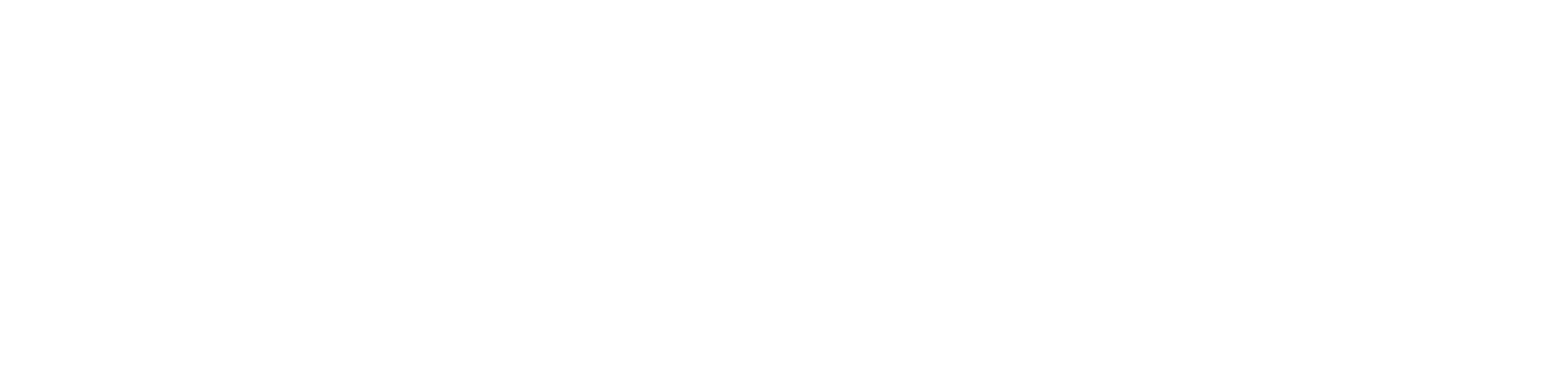 Logo Dear Skin